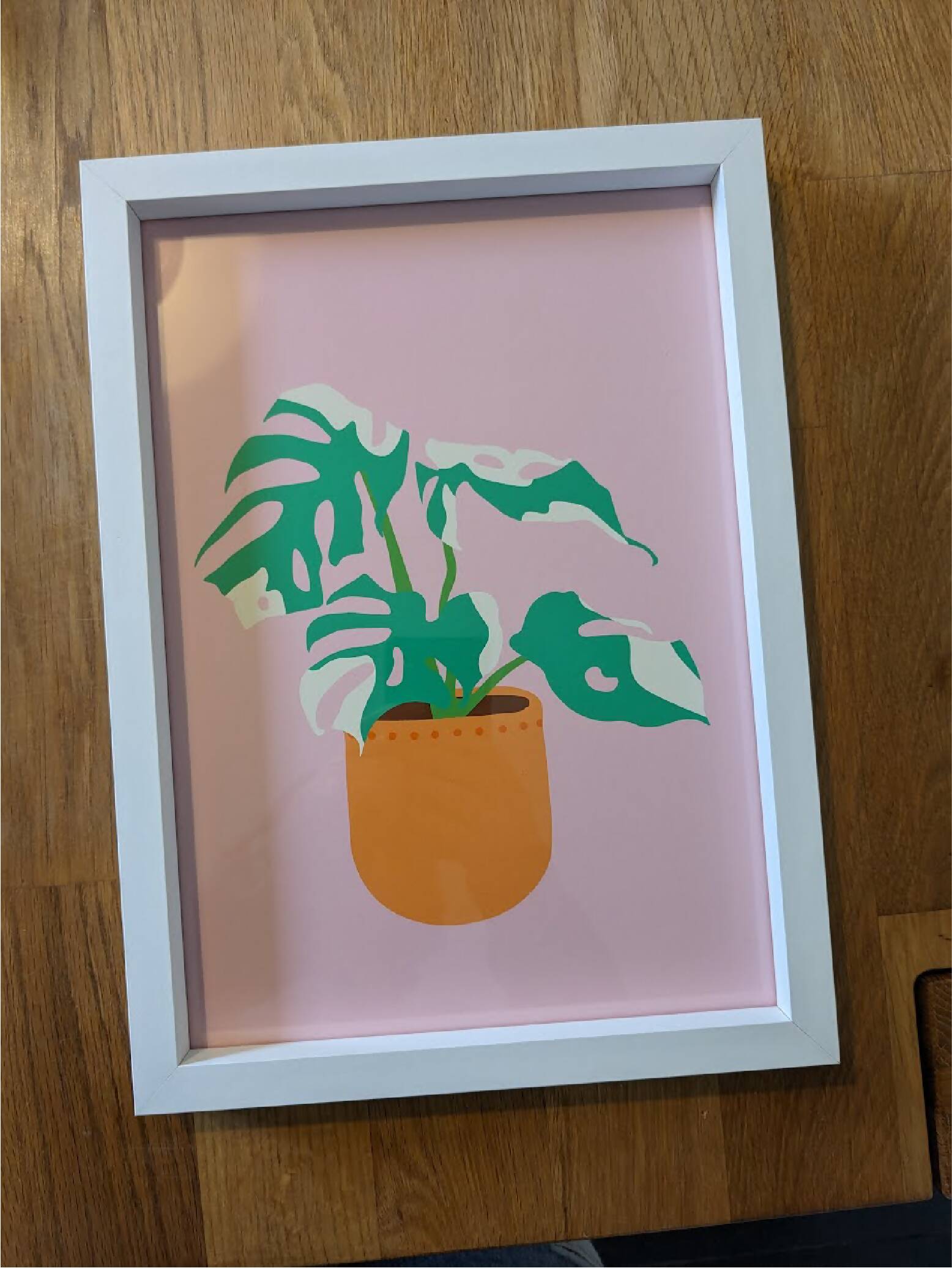 A4 Framed Varigated Monstera print