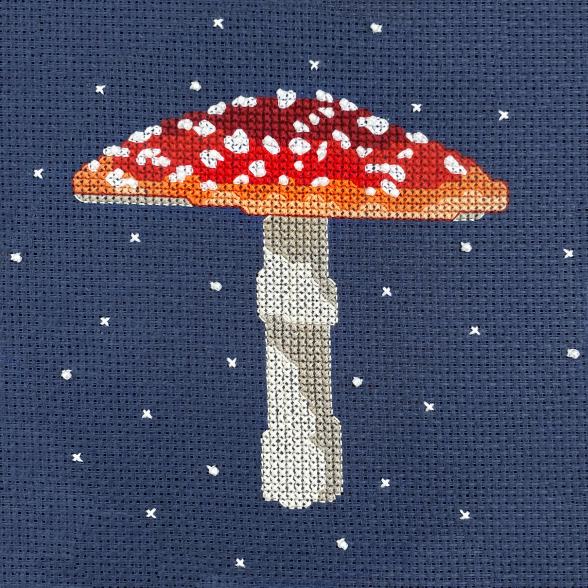 Toadstool Cross Stitch Kit