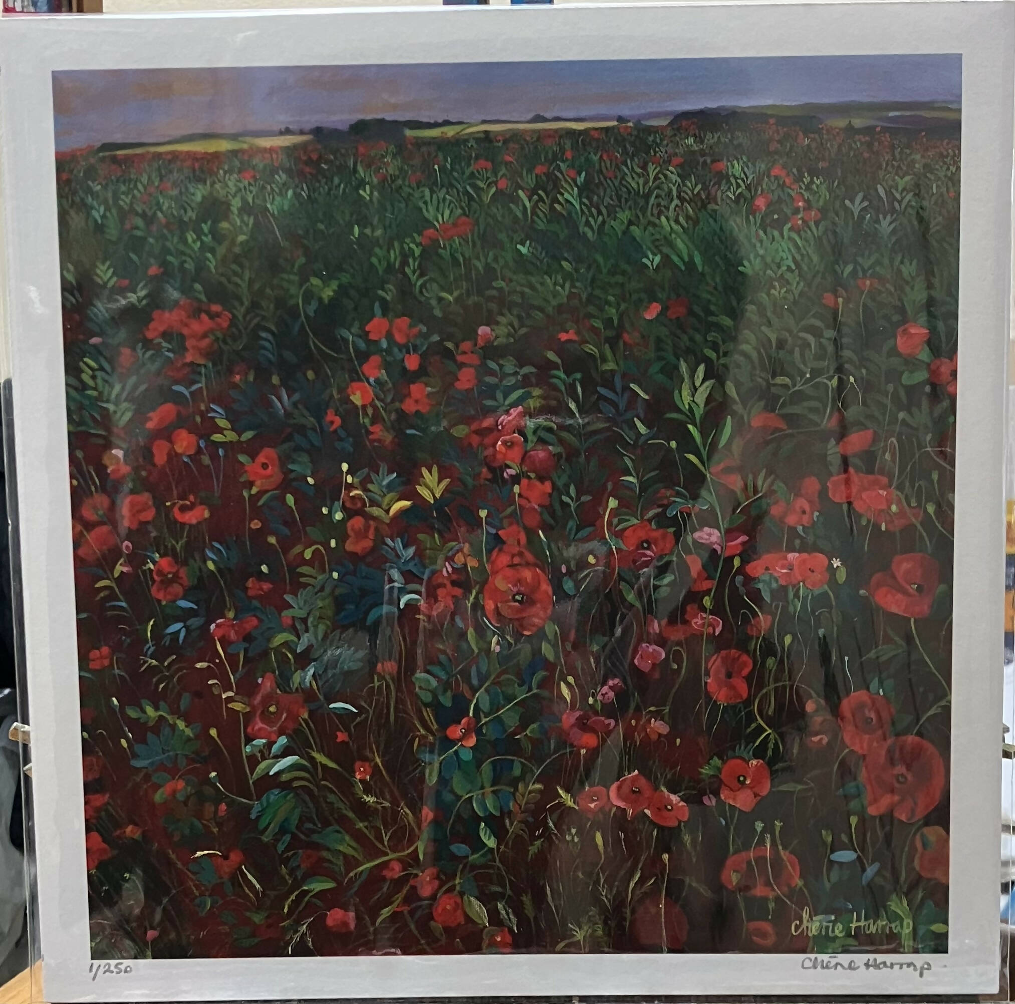 Poppies - Limited Edition Giclée Print