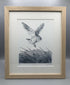 On Silent Wings (2/10) - Limited Edition dry point print by Jenny Davies
