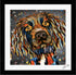 SPANIEL DOG COLOUR SPLASH FRAMED ARTWORK.