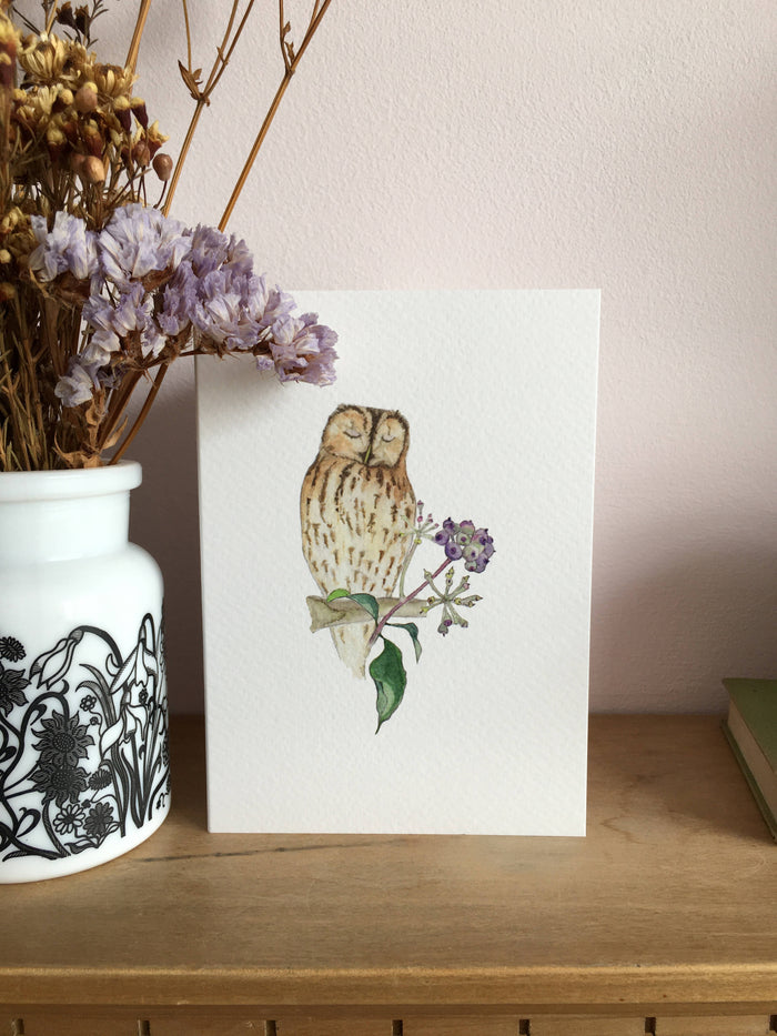 Tawny owl and Ivy berries card