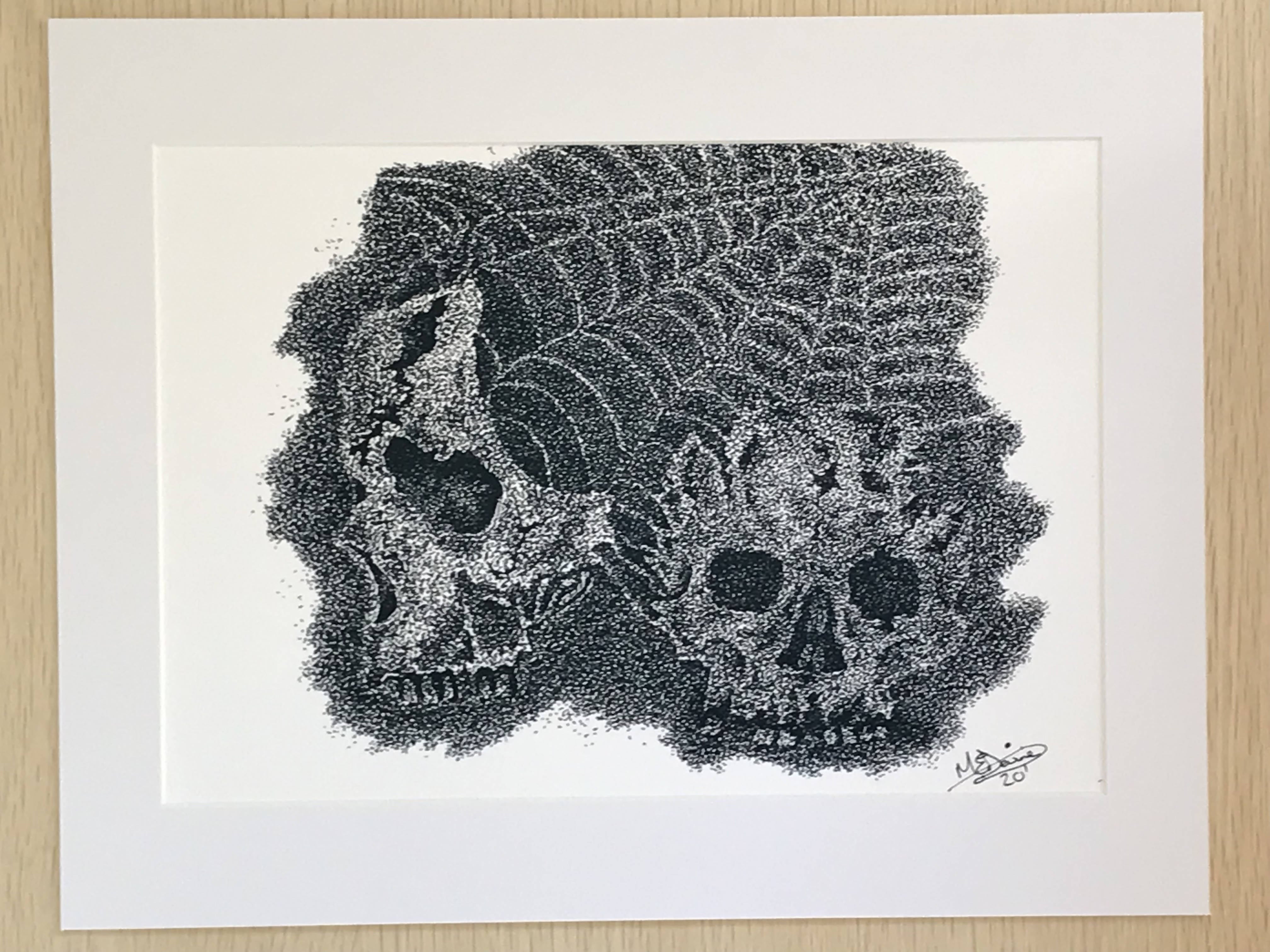 Skulls & Web