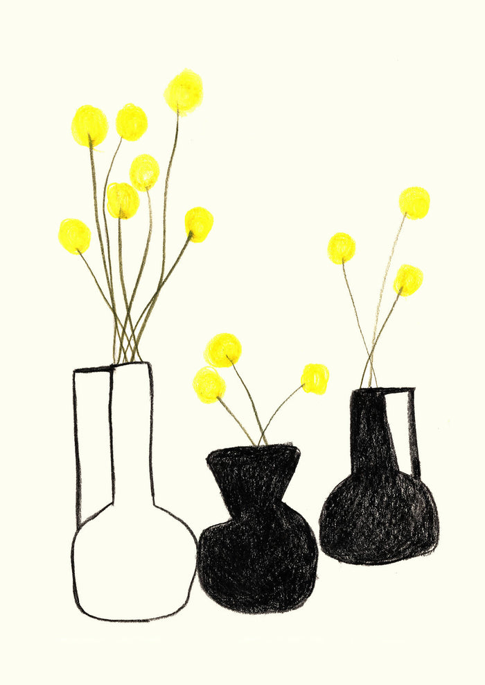 Craspedia in black Vase