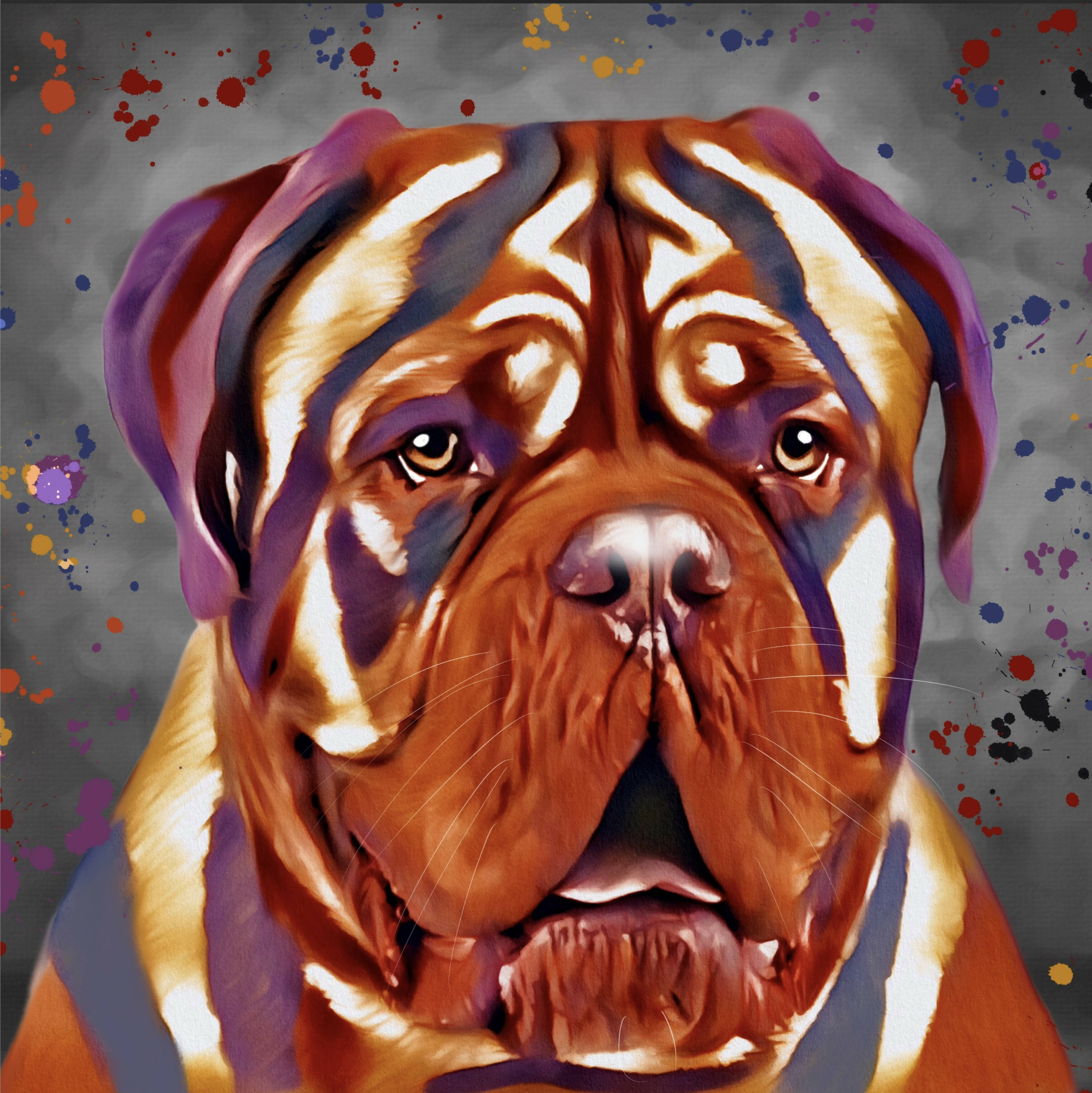 DOGUE DE BORDEAUX DOG COLOUR SPLASH FRAMED ARTWORK.