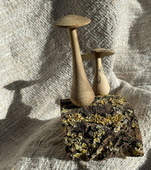 Woodland mushroom pair