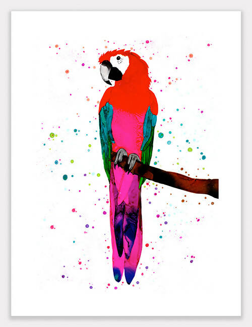 Parrot (Ara) Print