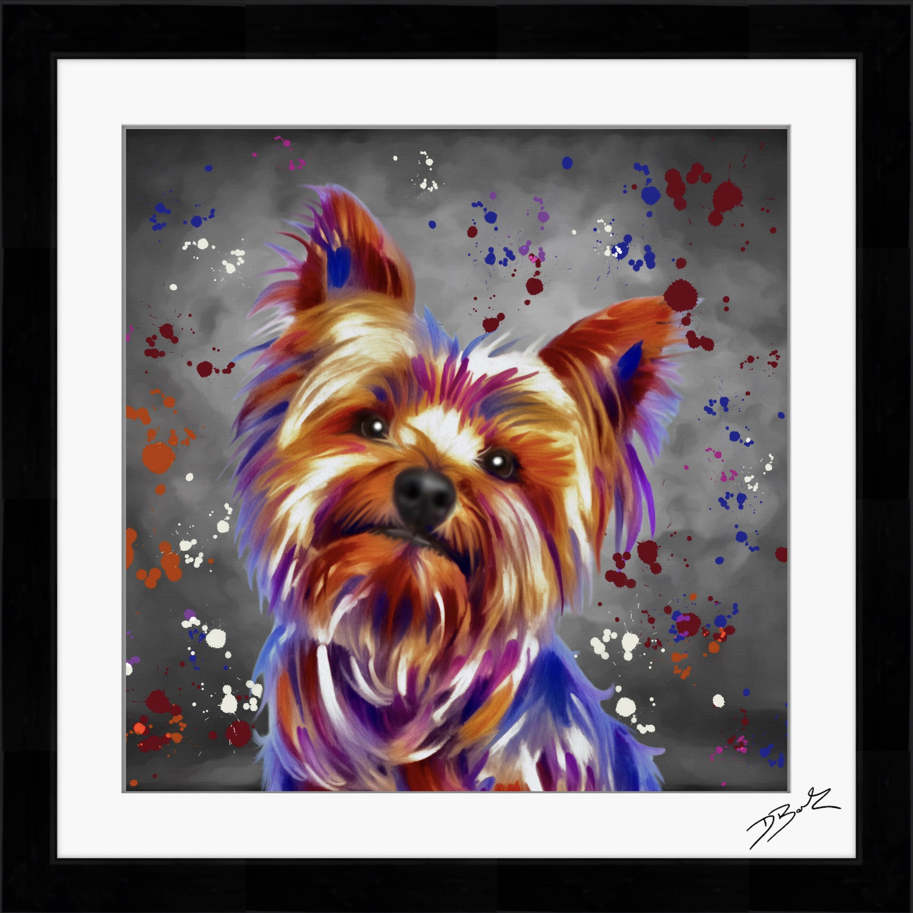 YORKSHIRE TERRIER DOG COLOUR SPLASH FRAMED ARTWORK.