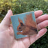 Red Squirrel Fridge Magnet