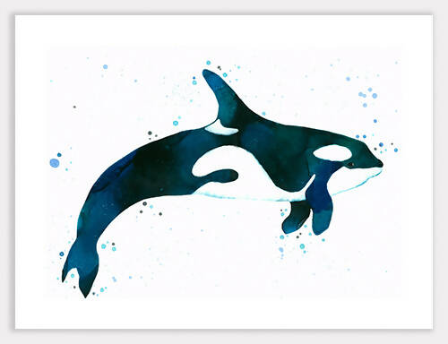 Whale (Orla) Print