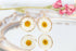 Daisy Circle Earrings Gold Plated