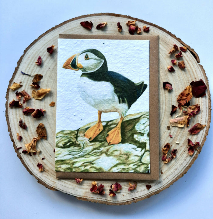 Plantable Wildflower Card - Puffin