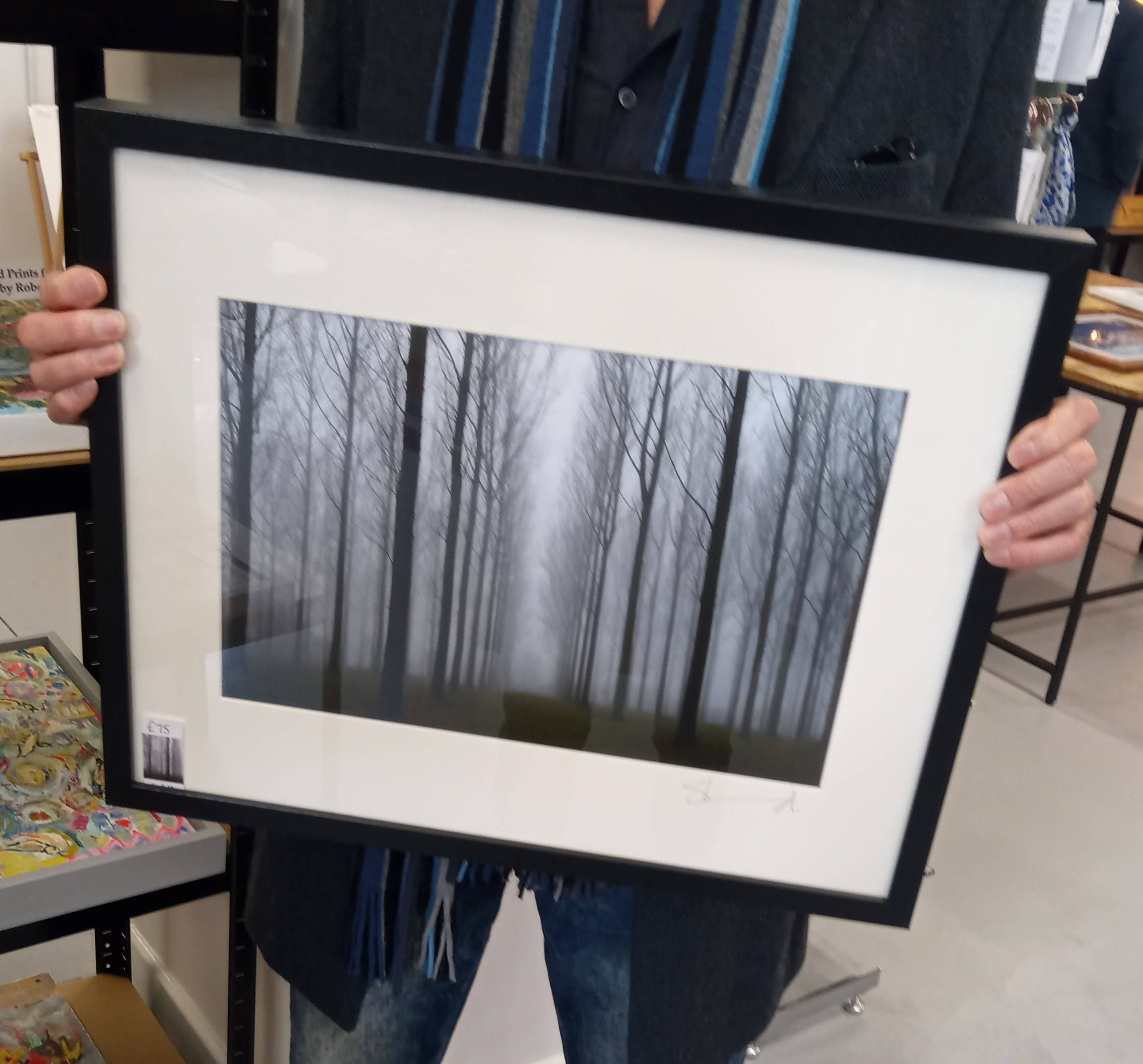 Misty Trees (large 50x40 frame)