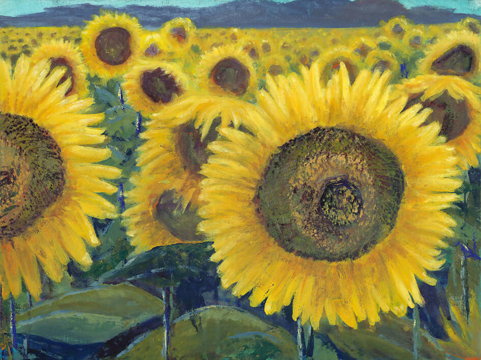 Sunflowers III - original