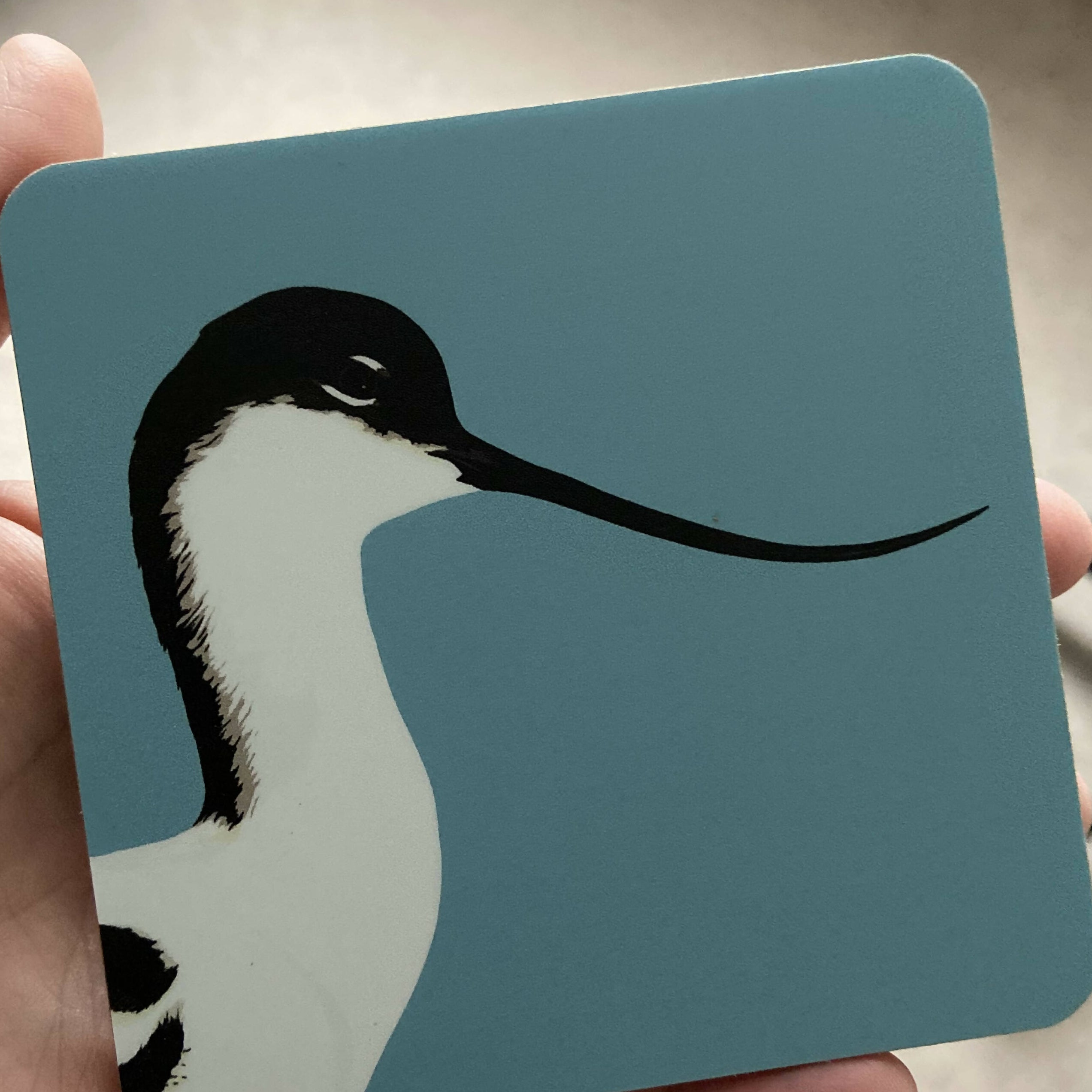 Avocet Coaster