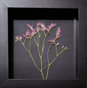 Framed Pressed Flower