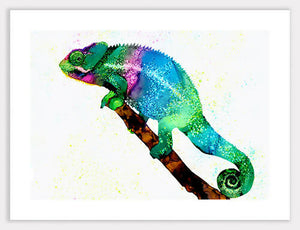 Chameleon (Leonidae) Print