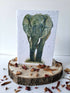 Plantable Wildflower Card - African Elephant