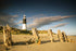 Spurn Point Lighthouse - card