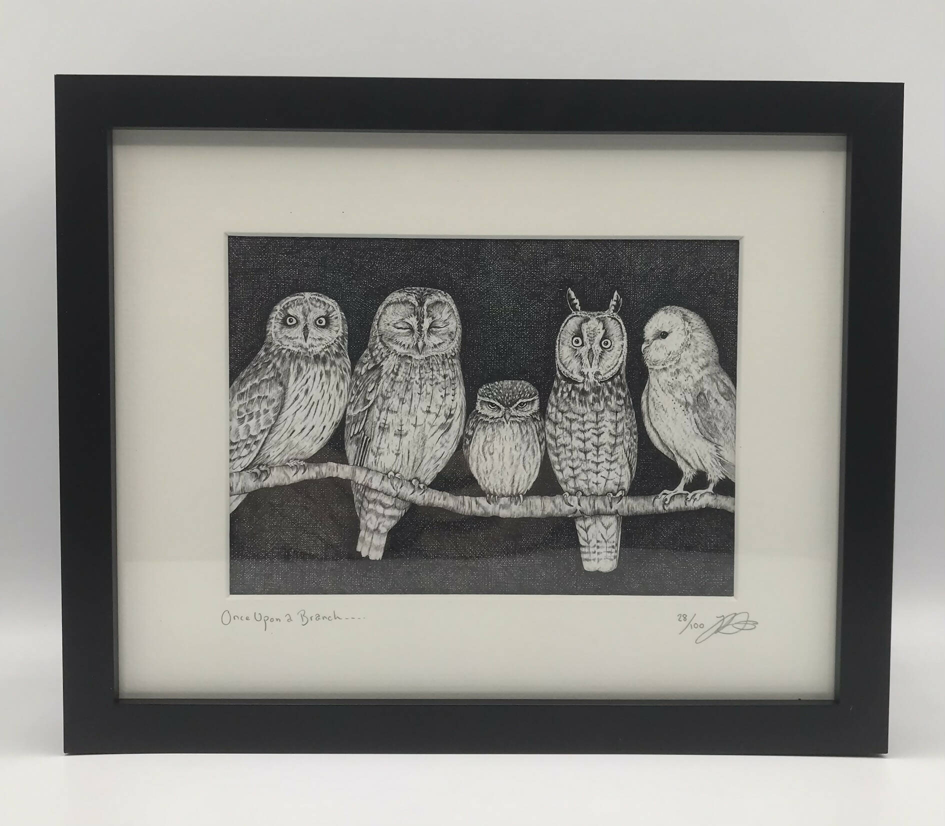 Once Upon A Branch... - Framed Limited Edition Print by Jenny Davies