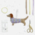 Sausage Dog Sewing Kit