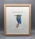 Into The Blue - Limited Edition Giclee Print presented in a solid oak frame. By Jenny Davies