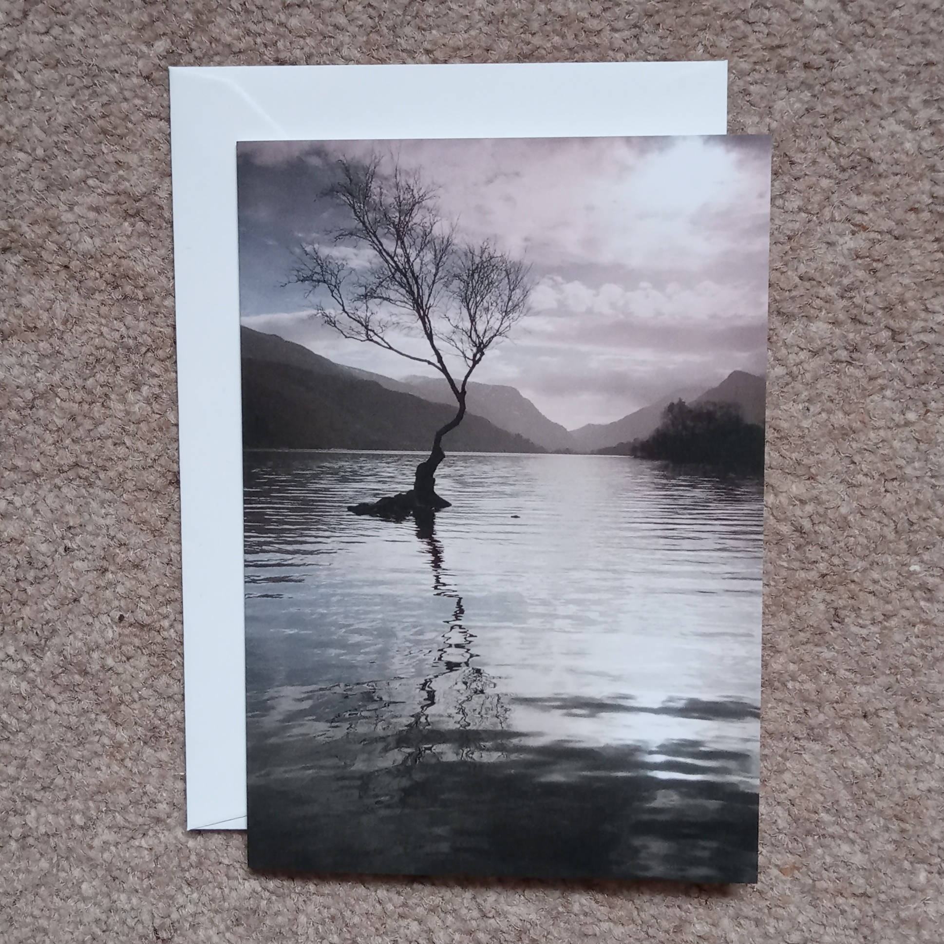 Llyn Padarn tree - card