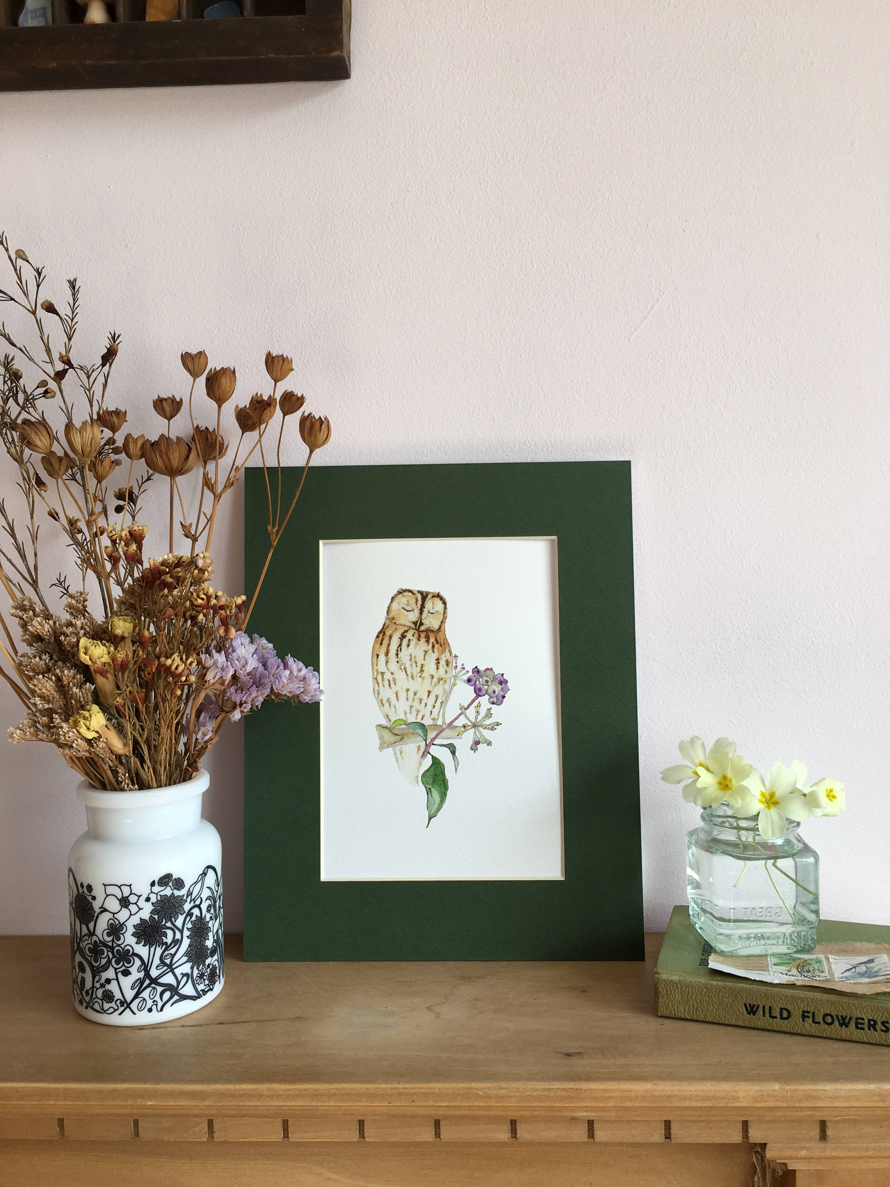 Tawny owl and ivy berries Giclee print