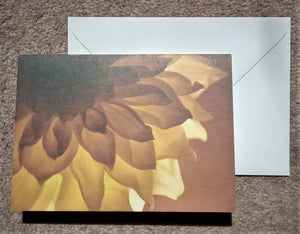 Image shows the card with its envelope
