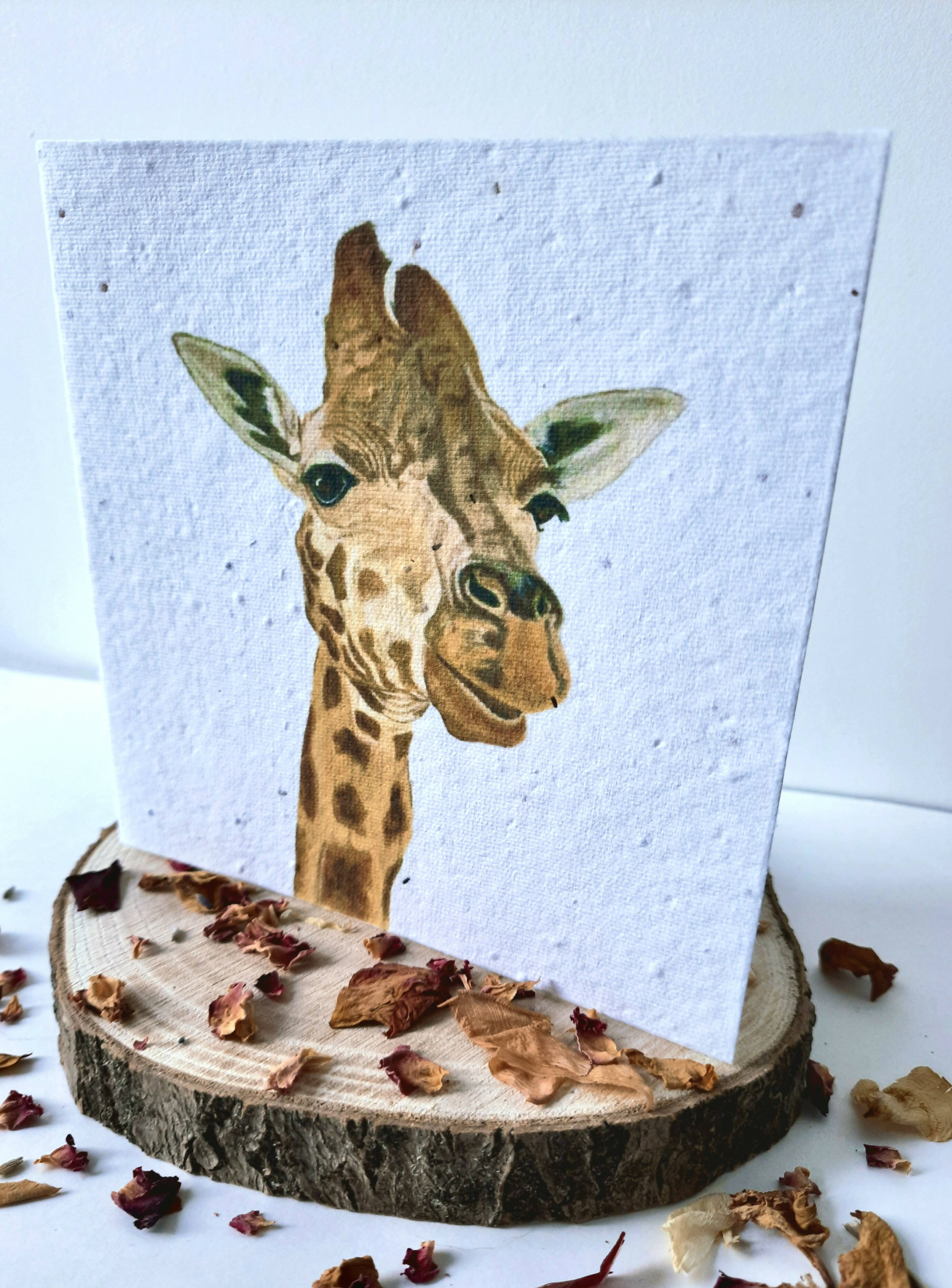 Plantable Wildflower Card - Giraffe