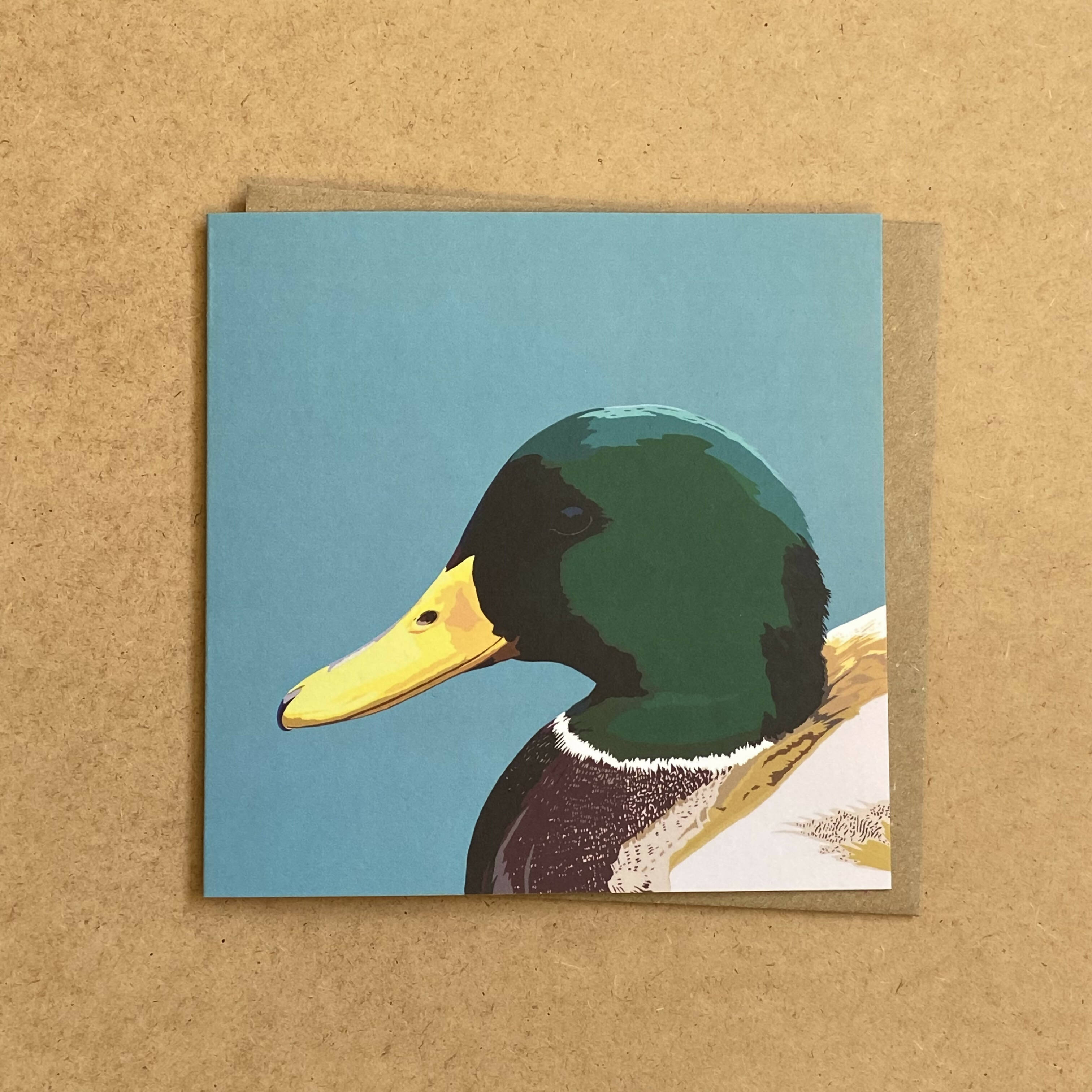 Mallard Drake Greetings Card