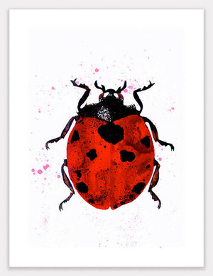 Ladybird (Scarlet) Print