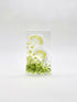 Dill Tea Light