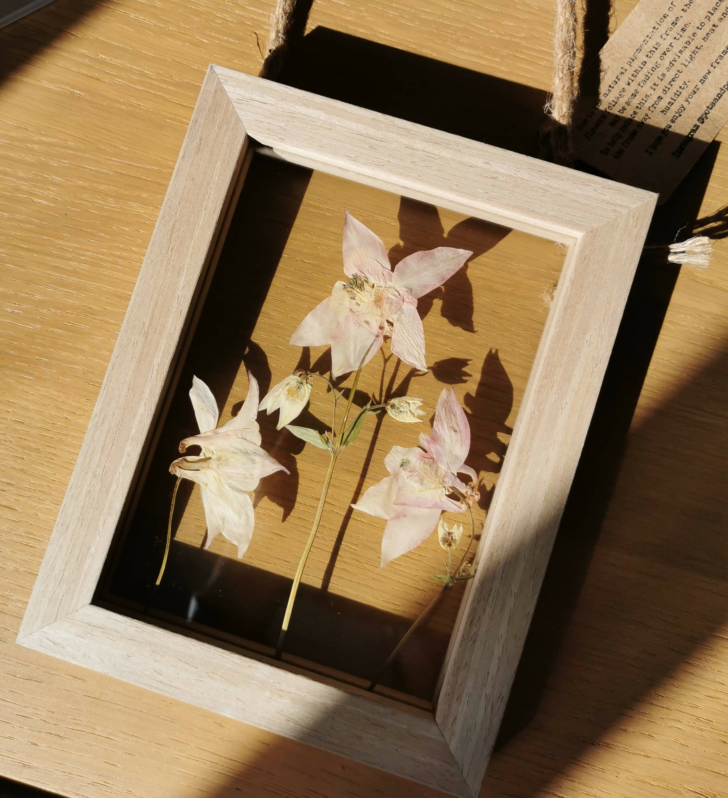 Pressed Flower Hanging Frame