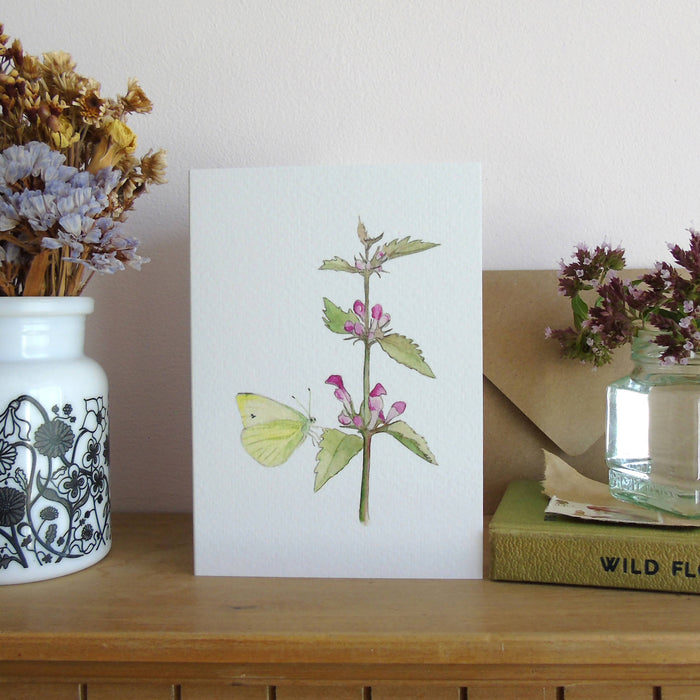 Red dead-nettle and butterfly card