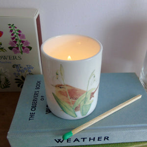 Wren and Snowdrops Tealight Candle Holder