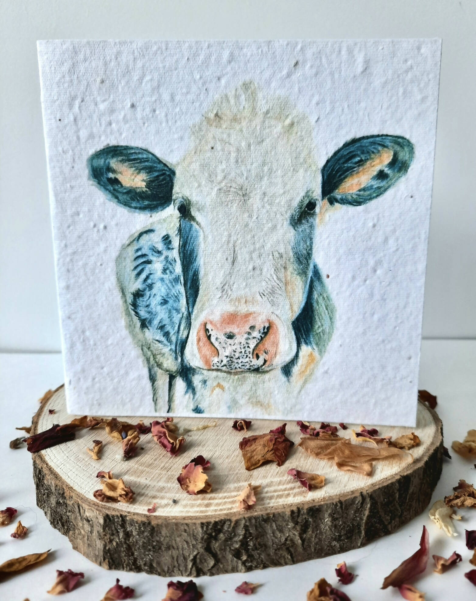 Plantable Wildflower Card - Curious Cow