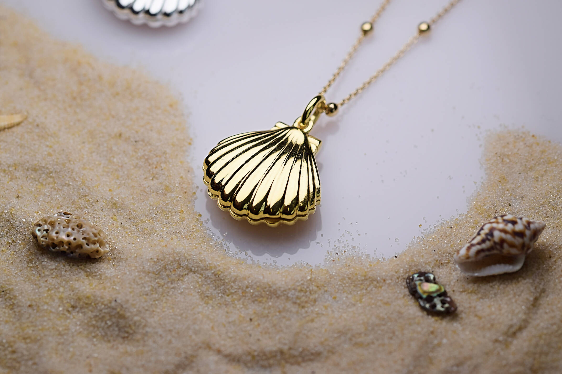 Seascape Shell Locket - Gold