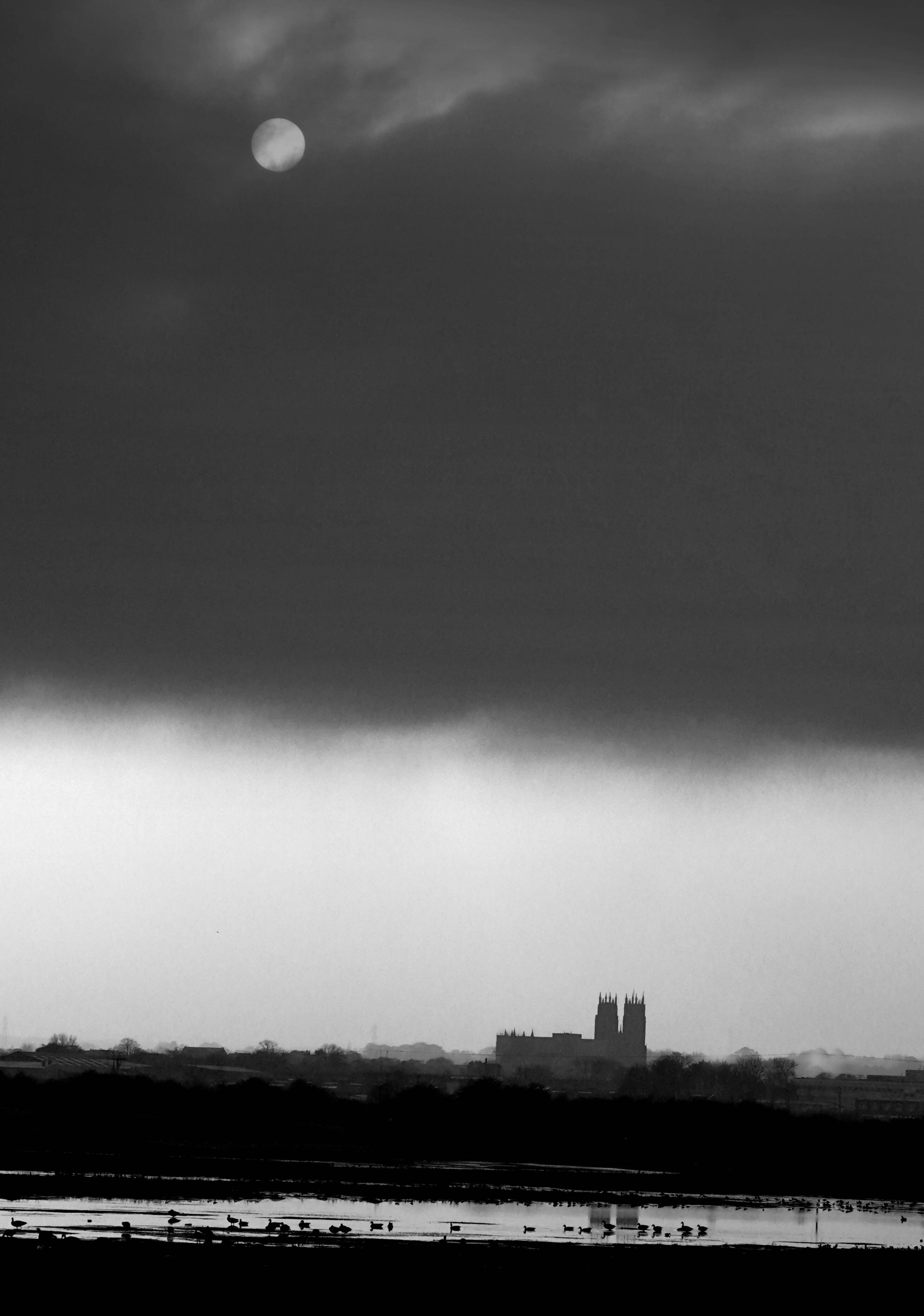 Beverley Minster over Figham Pastures