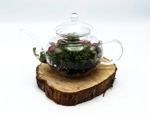 Mini Teapot Terrarium
