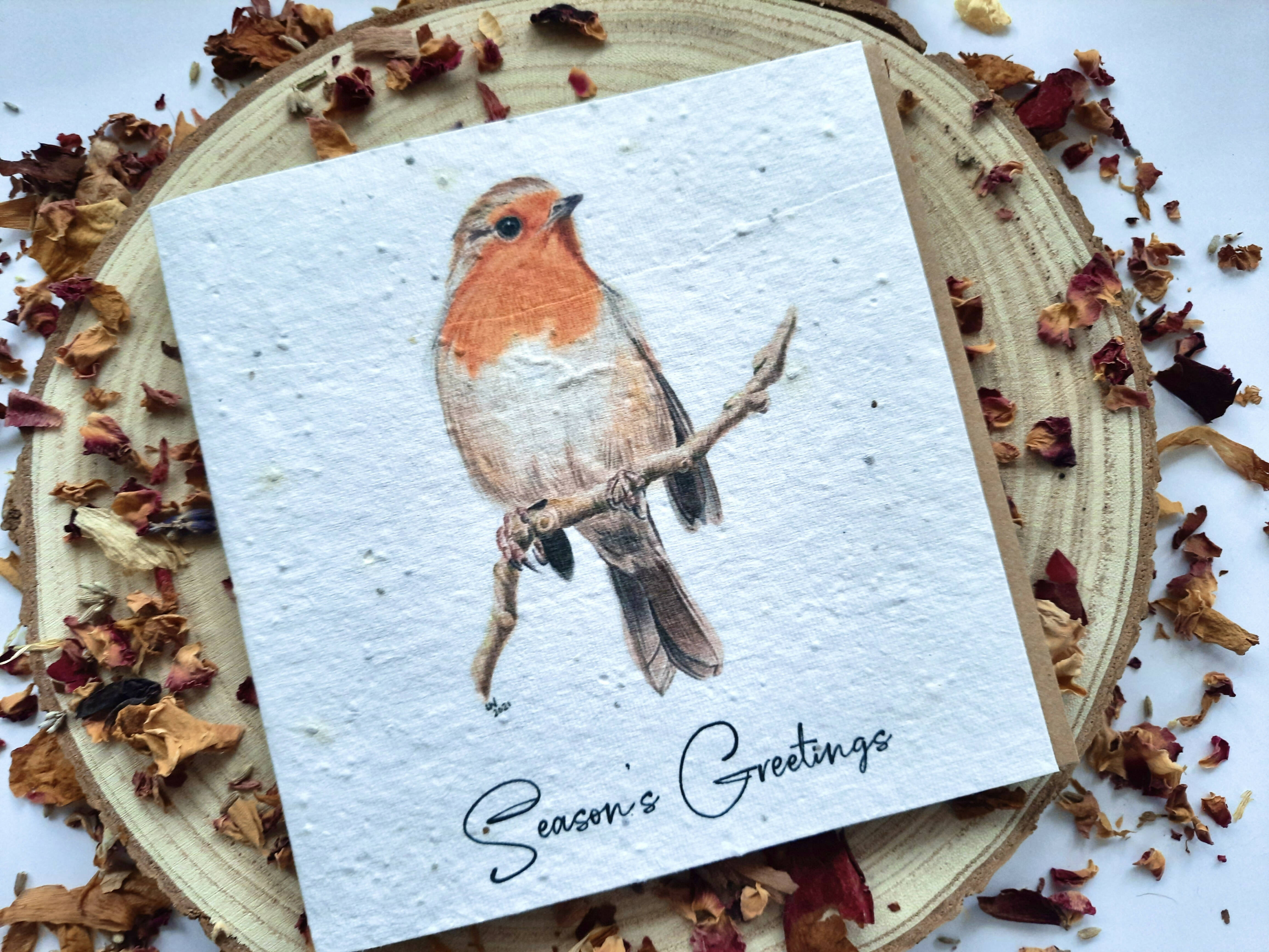 Plantable Wildflower Christmas Card - Robin Season’s Greeting