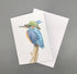 Jenny Wren Draws greetings Cards