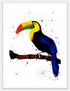 Toucan (Tuka) Print