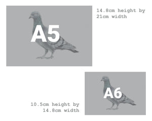 A5/A6 Pigeon Bird Art Print | Watercolour Painting & Biro-pen Drawing