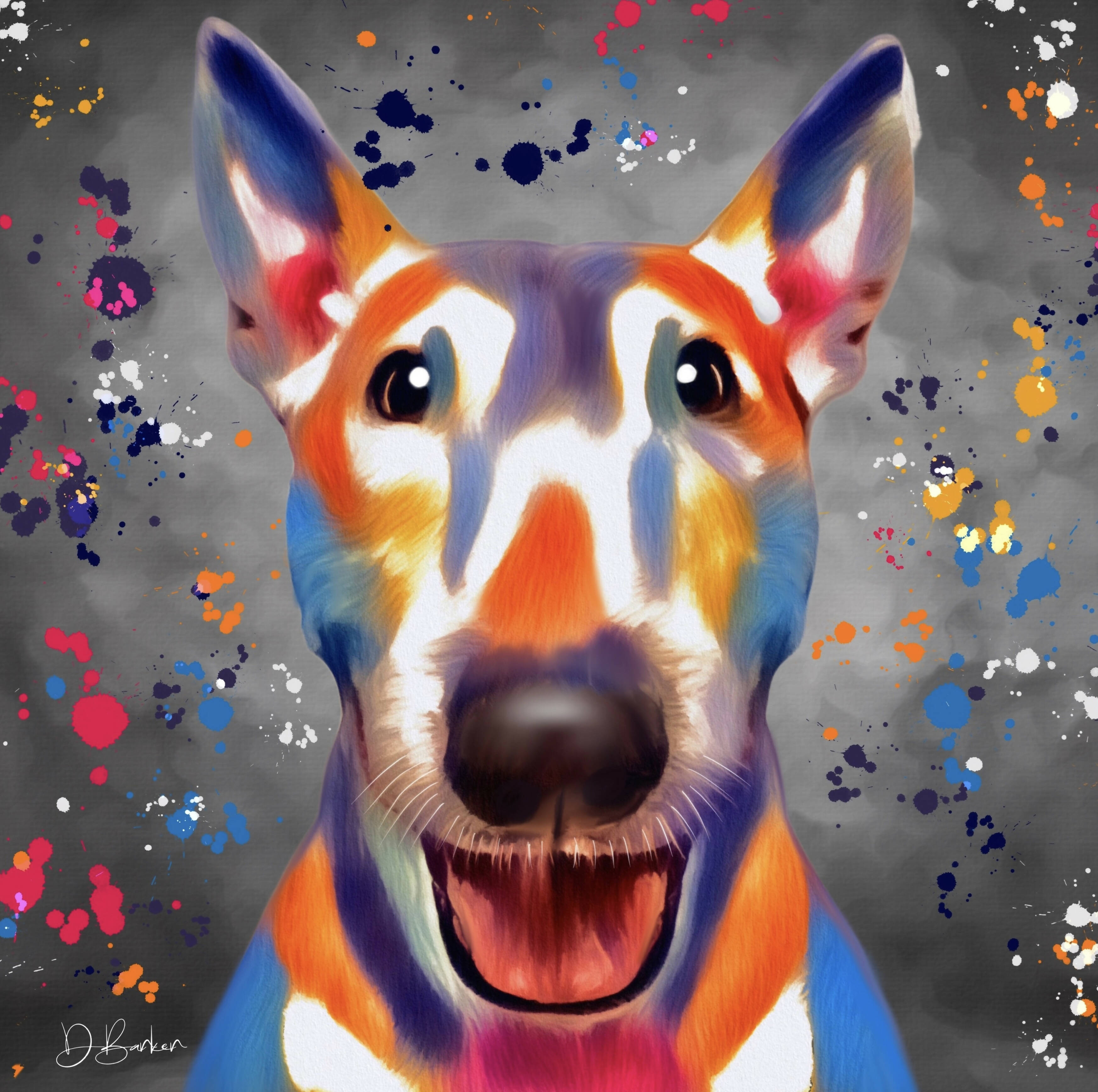 BULL TERRIER DOG COLOUR SPLASH MOUNTED ARTWORK.