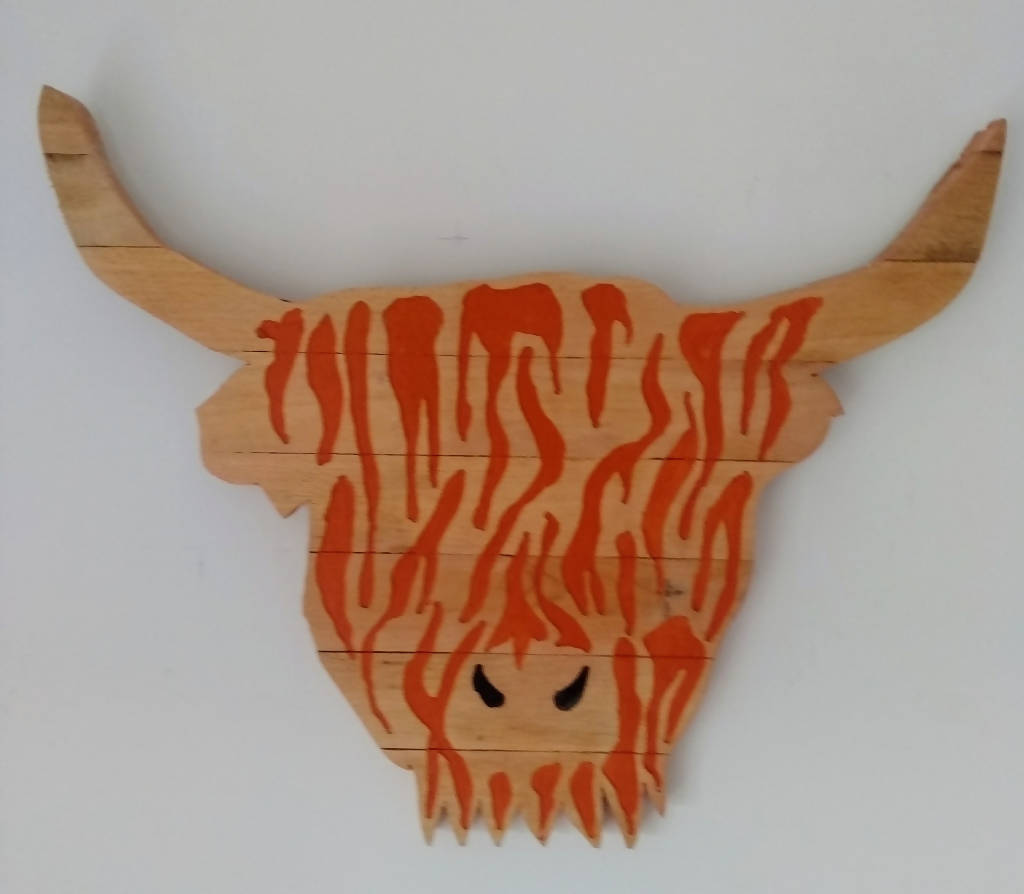 Highland Cow head