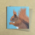 Red Squirrel Greetings Card