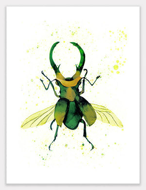 Beetle (Ringo) Print