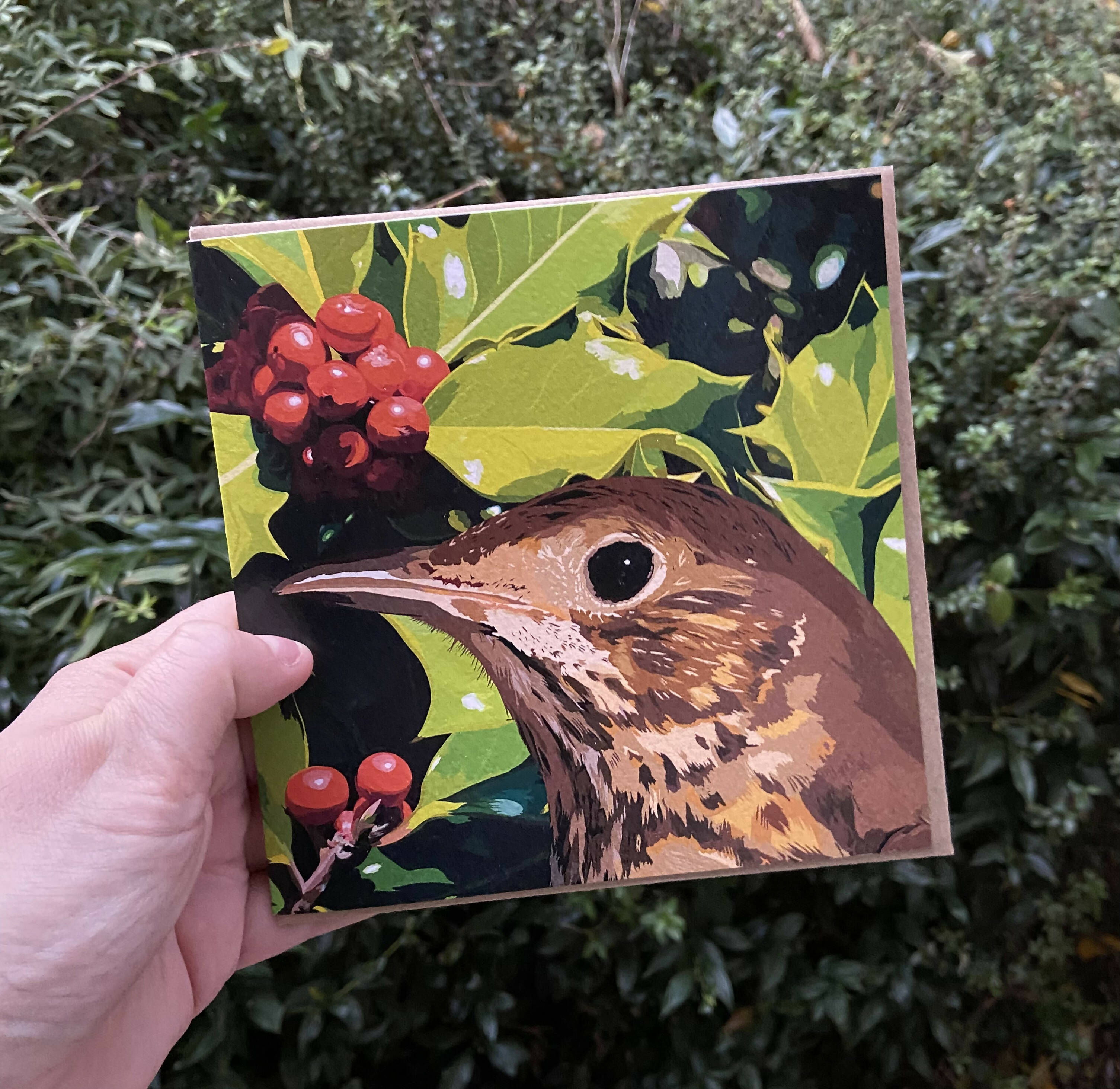 Christmas Song Thrush Greetings Card