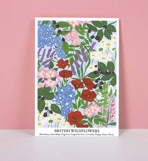 British Wildflower A4 Art Print